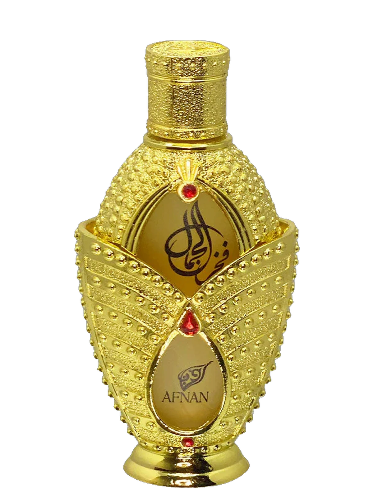 Afnan FAKHAR AL JAMAAL