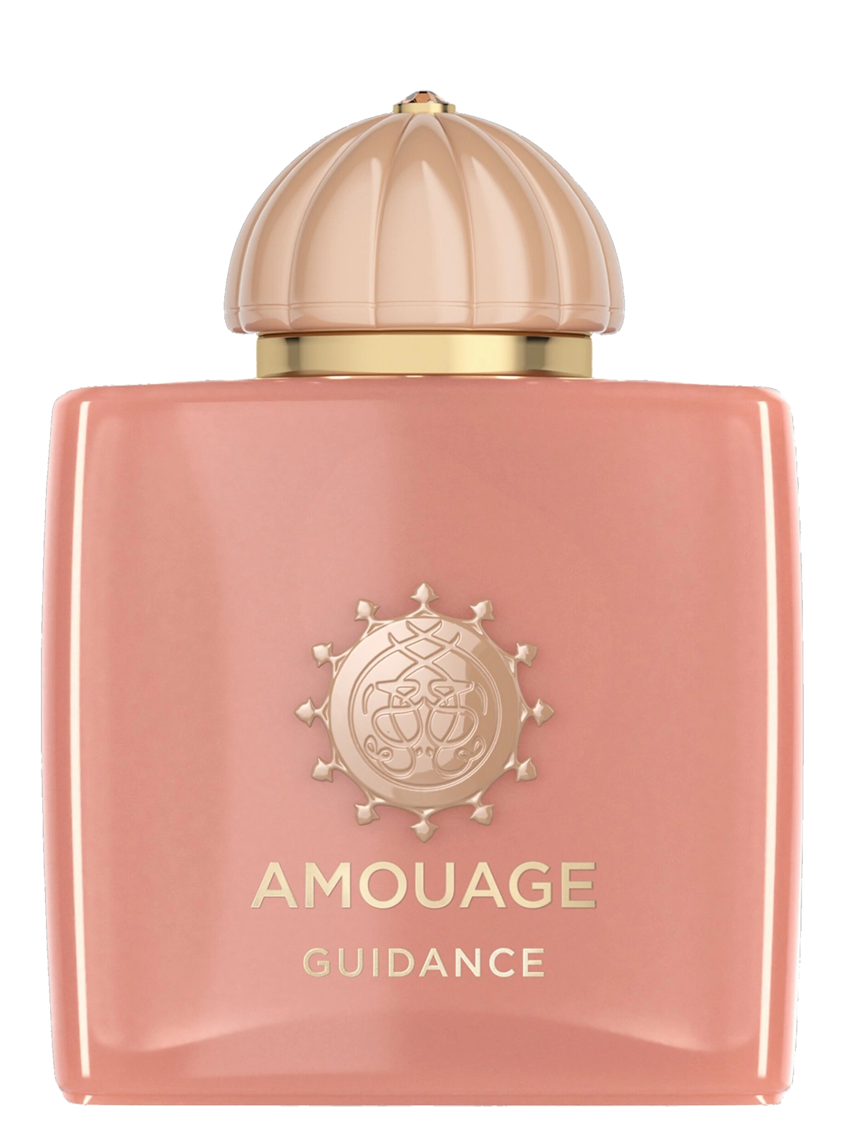 Amouage Guidance