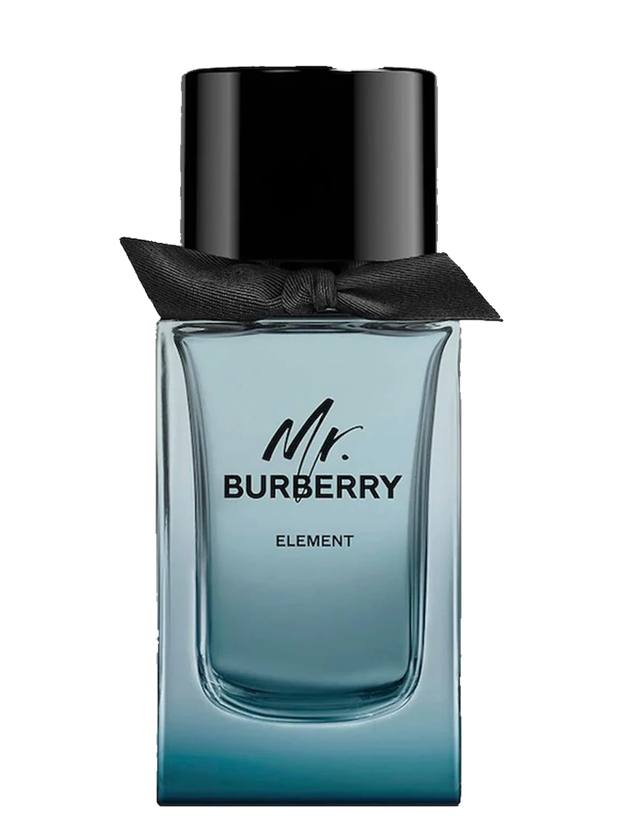 Burberry Mr. Burberry Element