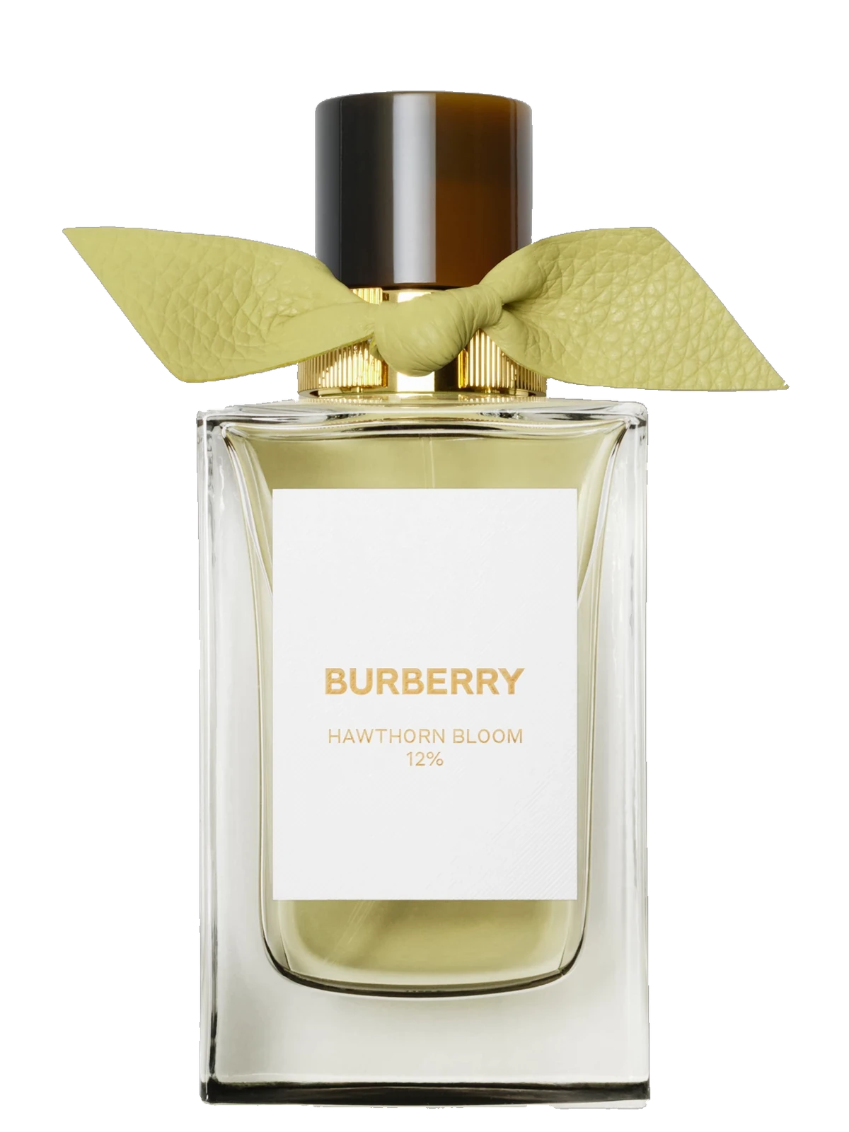 Burberry Signatures Hawthorn Bloom