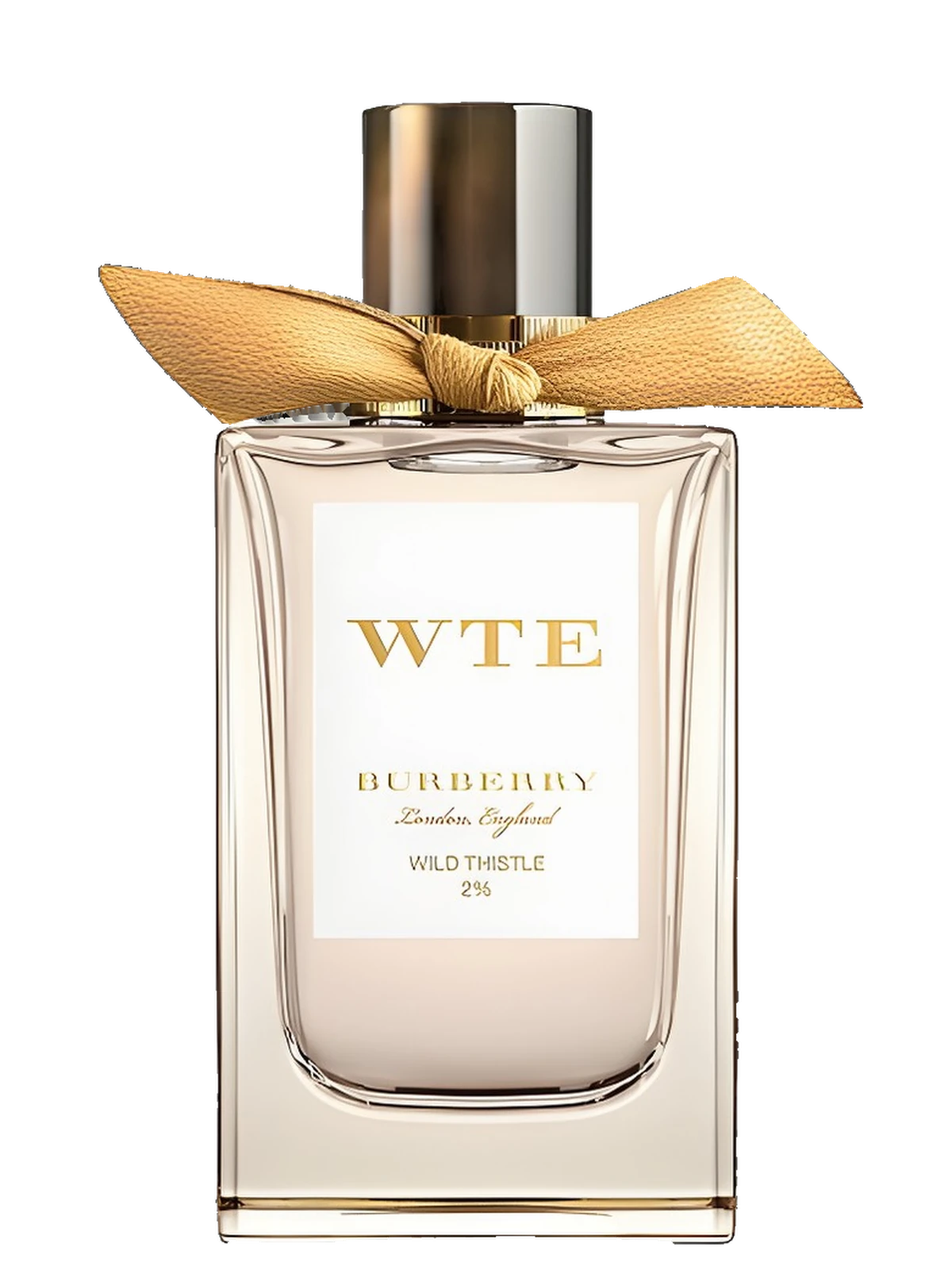 Burberry Signatures Wild Thistle