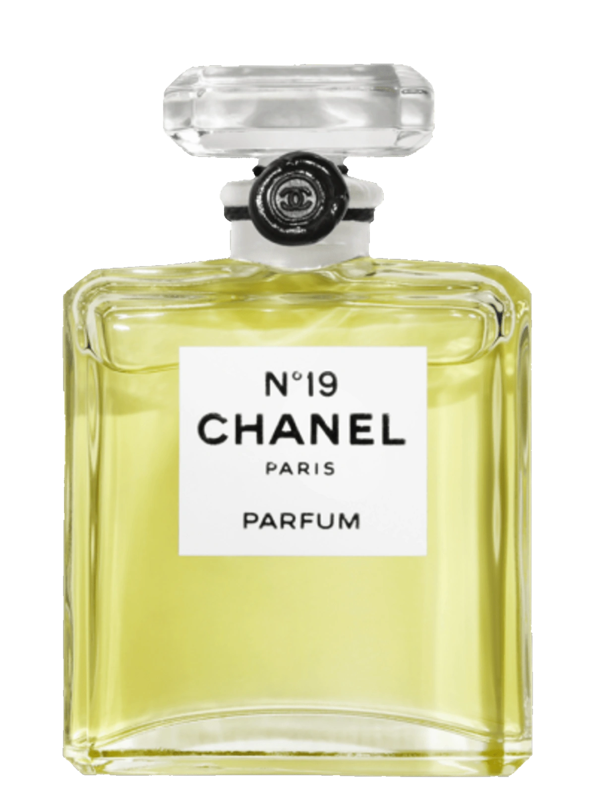 Chanel N°19 Parfum