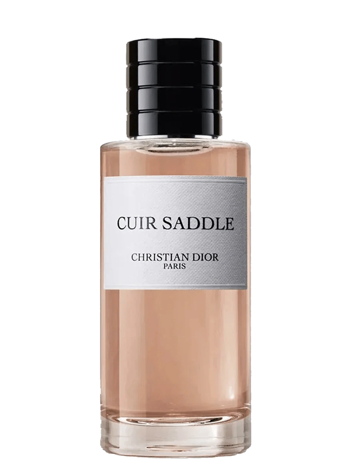 Dior Cuir Saddle