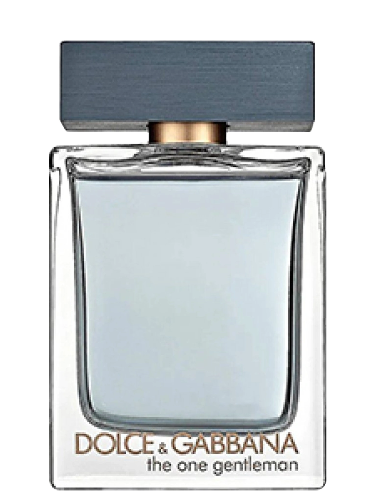 Dolce & Gabbana The One Gentleman