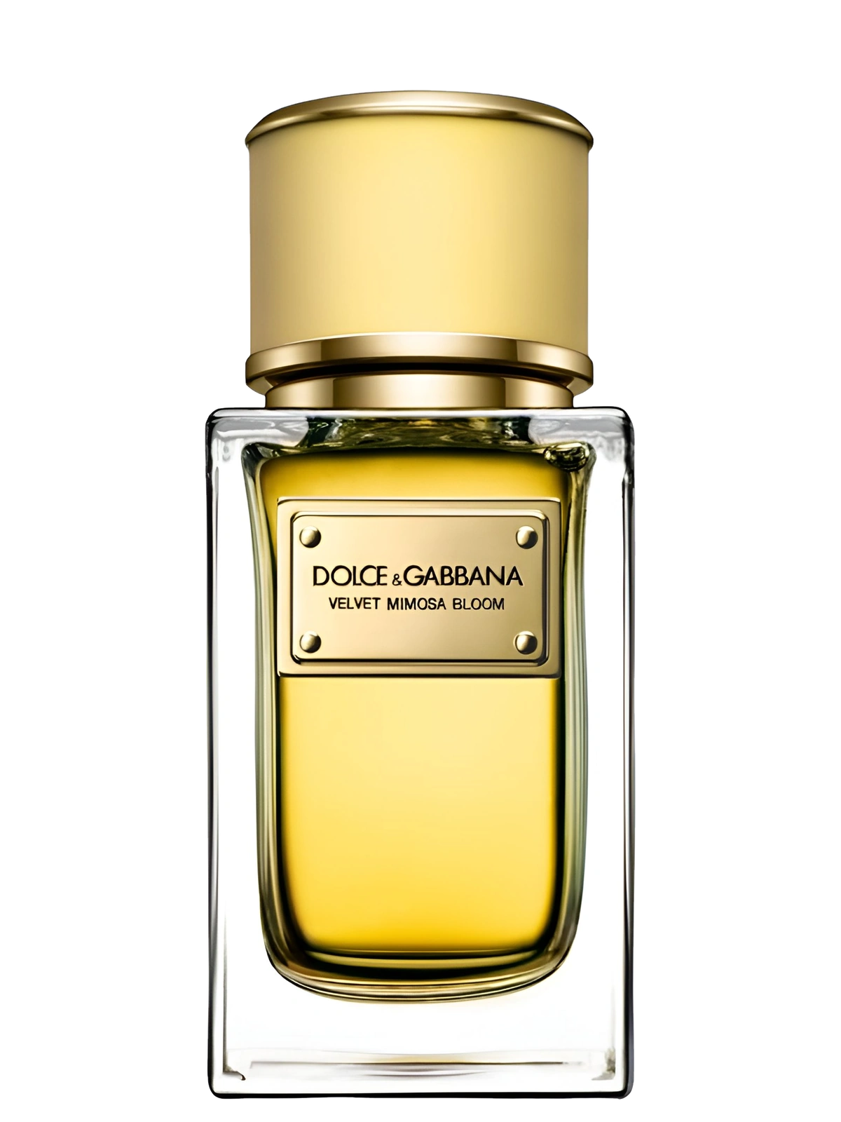 Dolce & Gabbana Velvet Mimosa Bloom