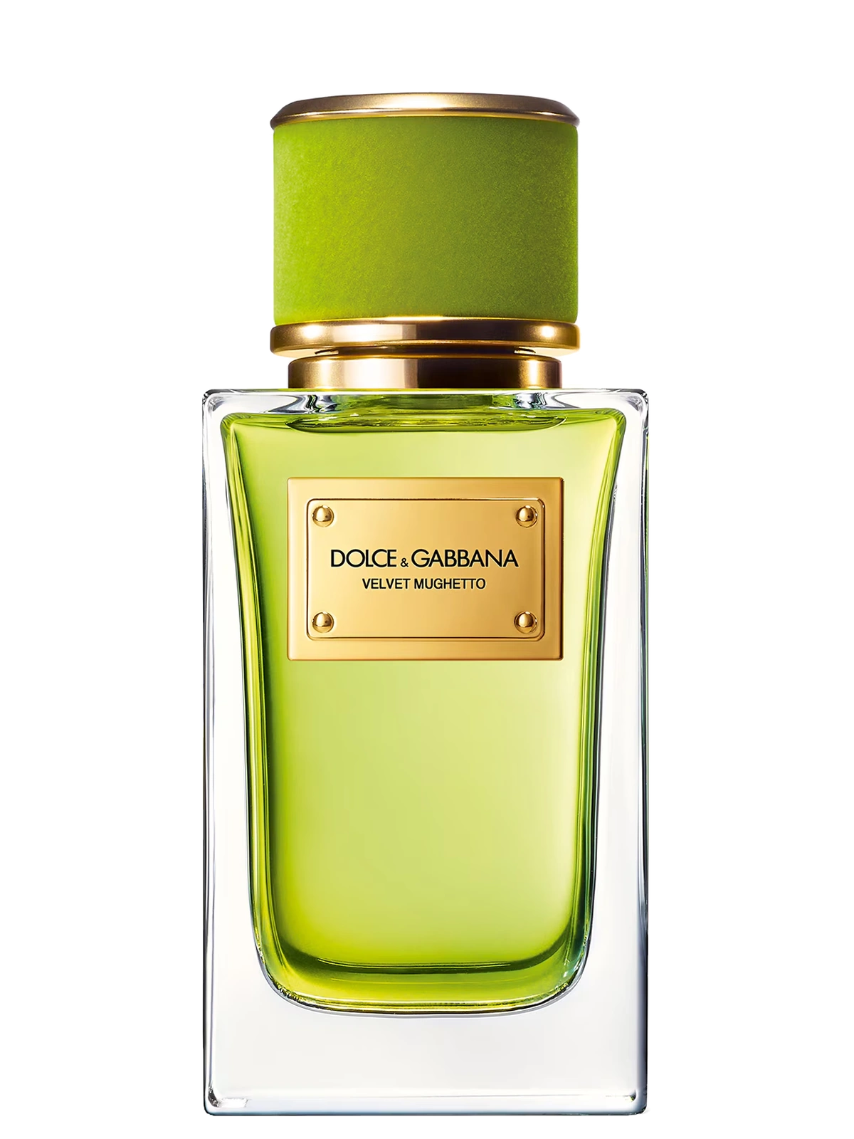 Dolce & Gabbana Velvet Mughetto