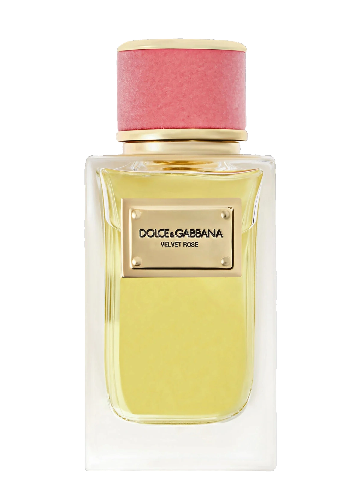 Dolce & Gabbana Velvet Rose