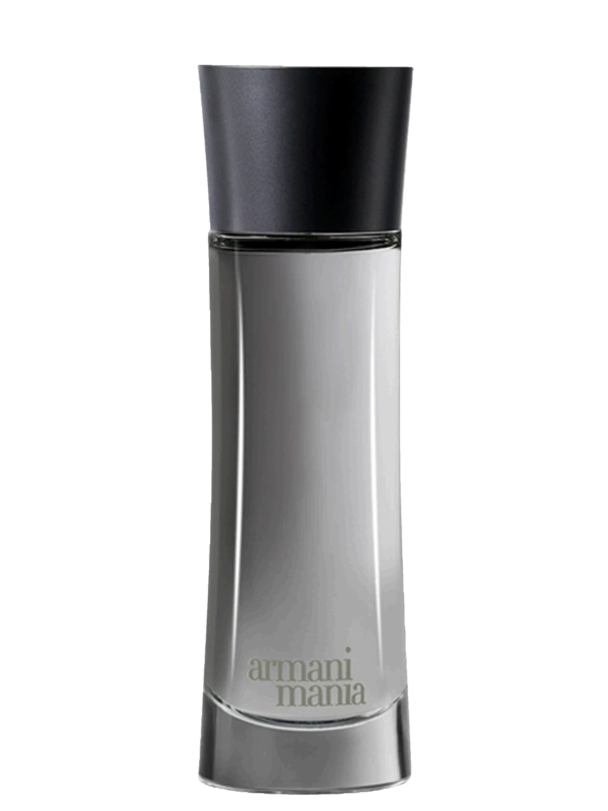 Giorgio Armani Armani Mania for Him