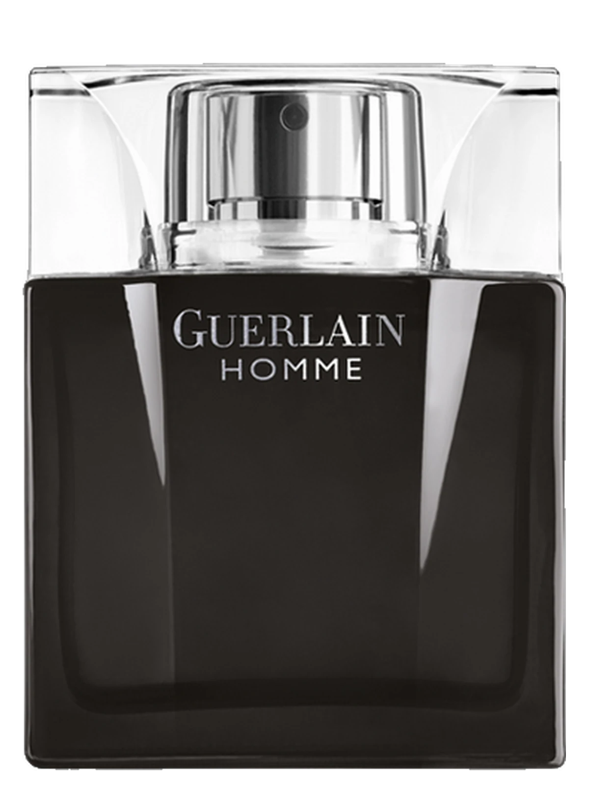 Guerlain Homme Intense