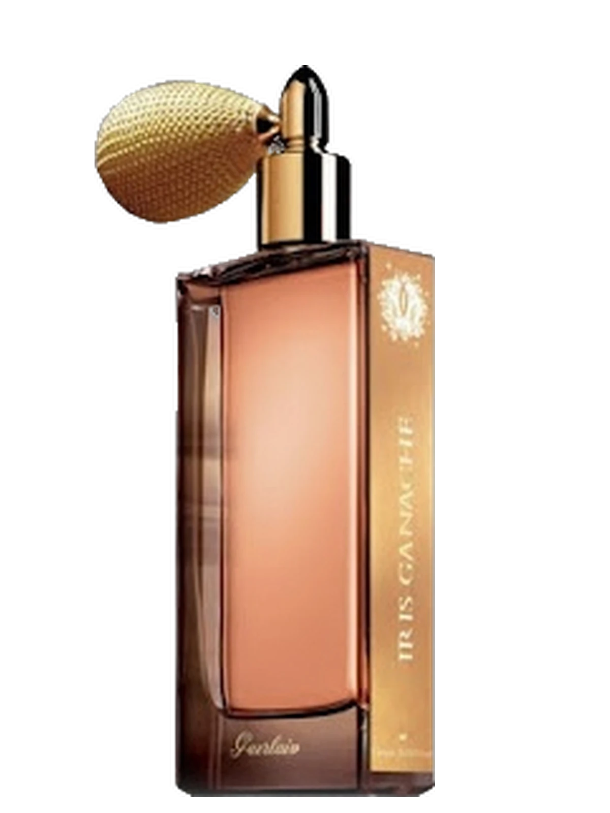 Guerlain Iris Ganache