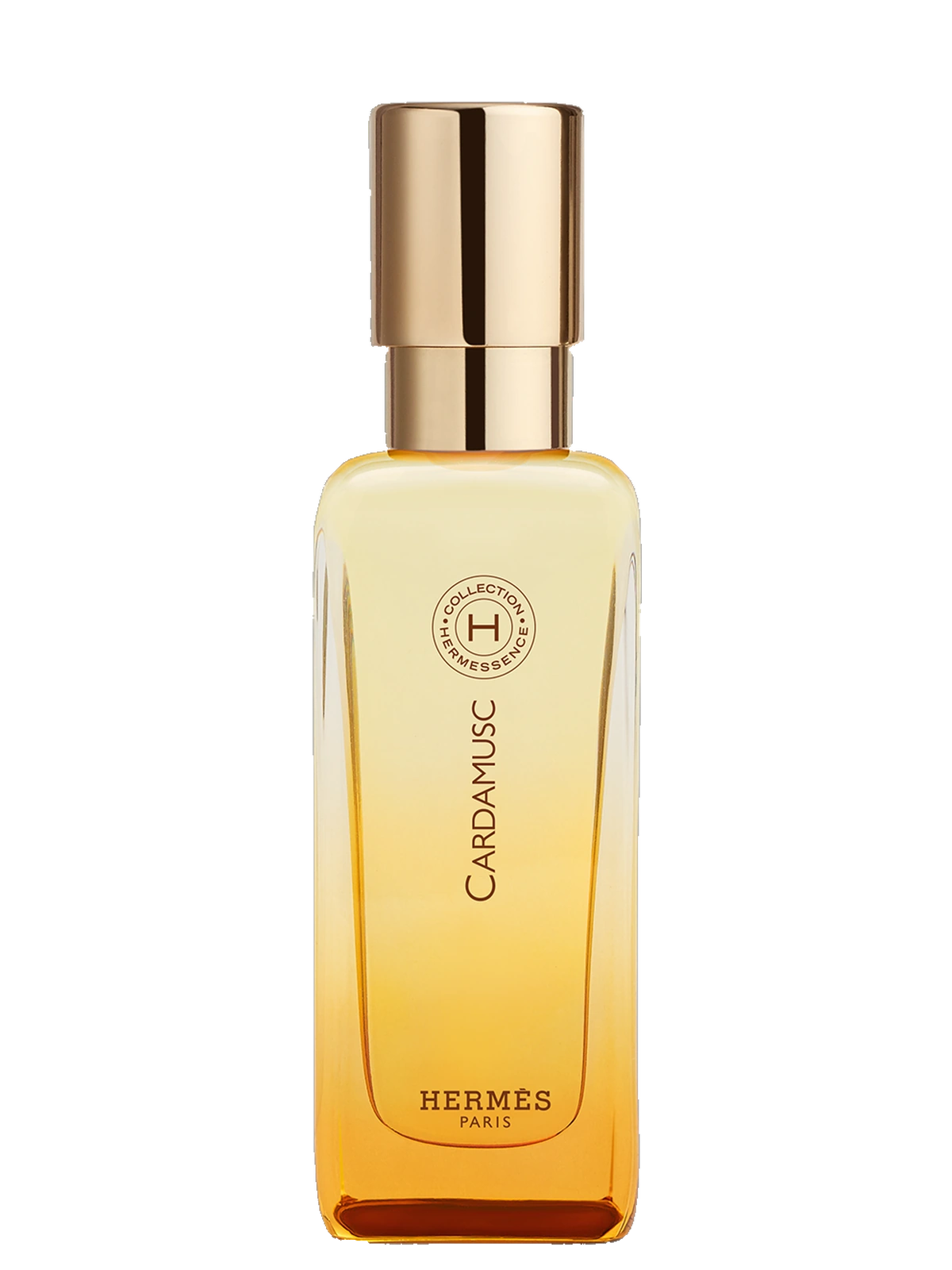 Hermès Cardamusc