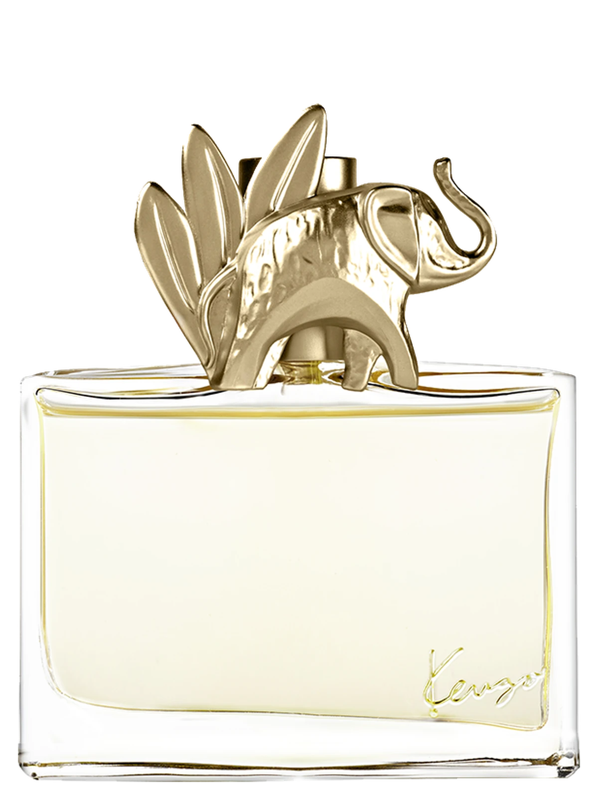 Kenzo Jungle
