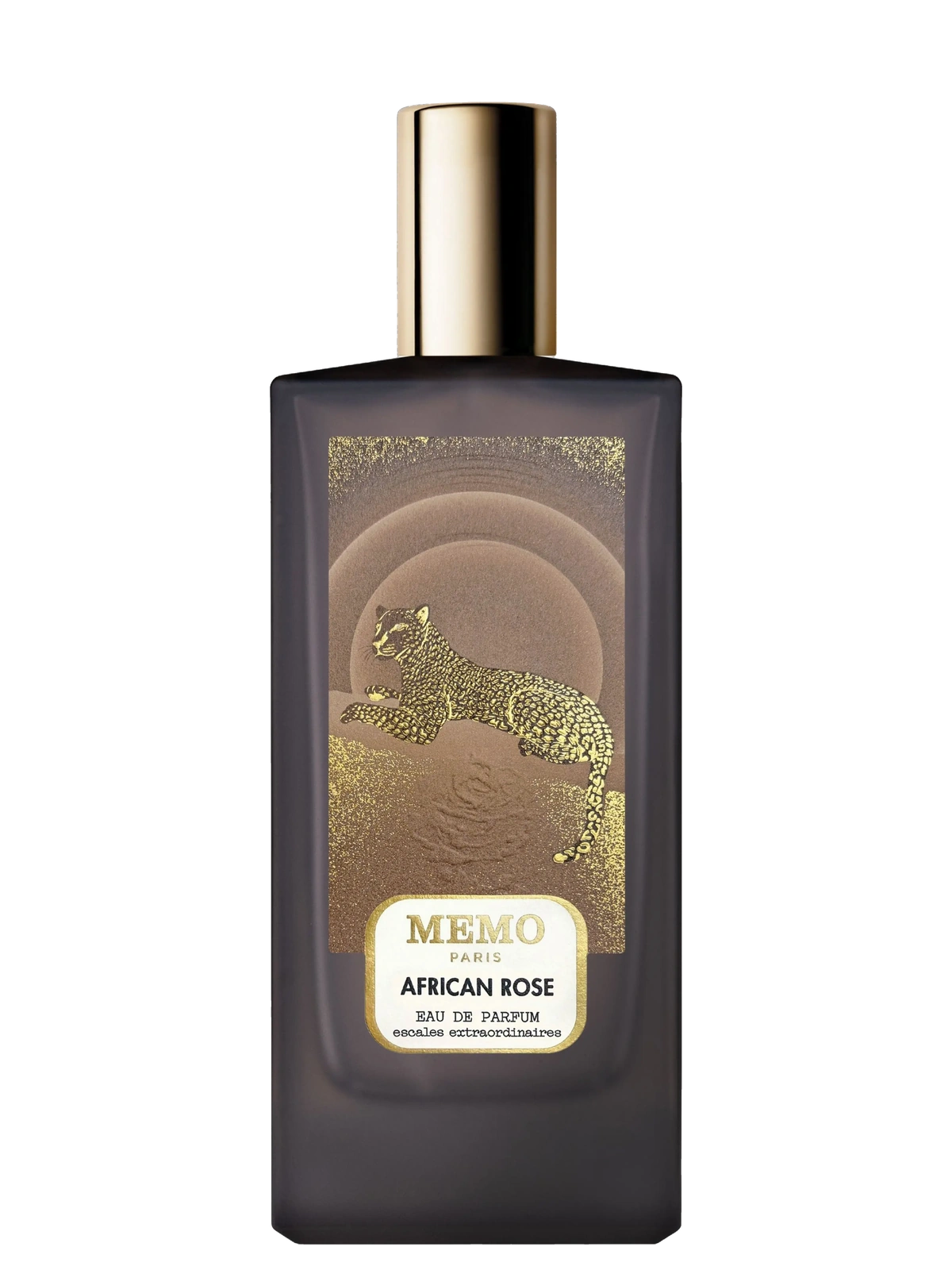Memo Paris African Rose