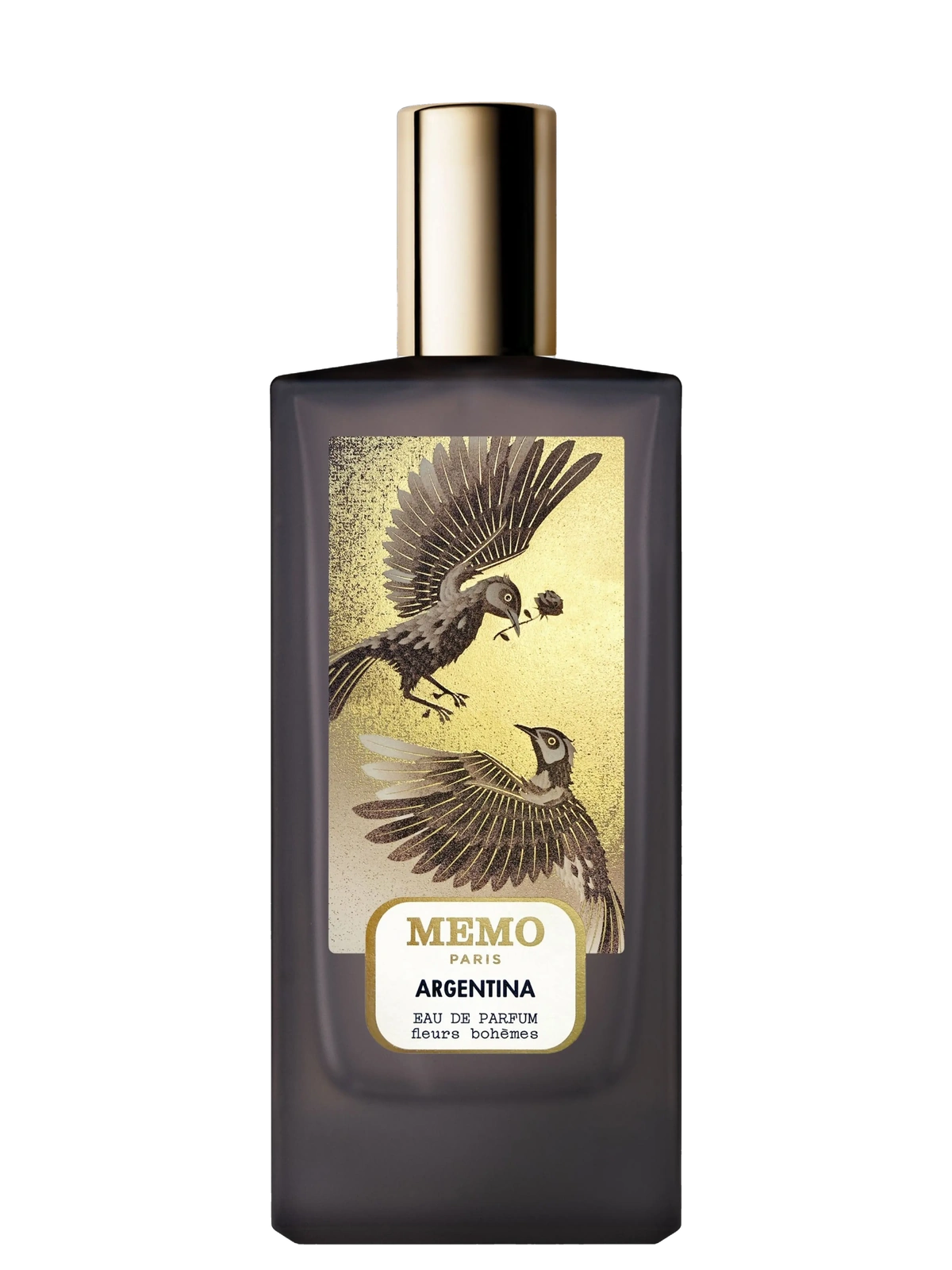 Memo Paris Argentina
