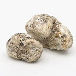 Ambergris