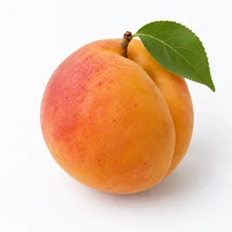 Apricot