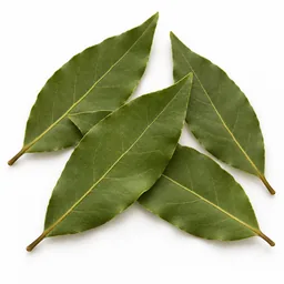 Bay Leaf