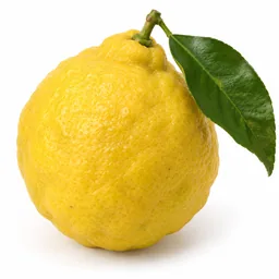 Bergamot