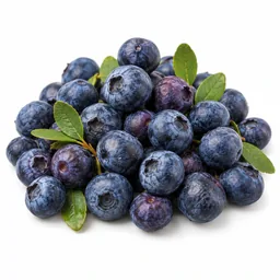 Bilberry