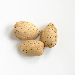 Bitter Almond