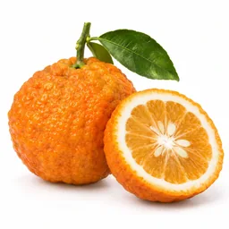 Bitter Orange