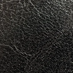Black Leather