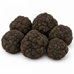Black Truffle