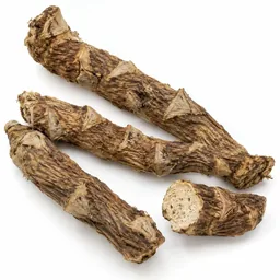 Calamus