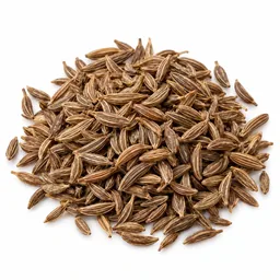 Caraway
