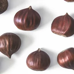 Chestnut