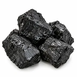 Coal