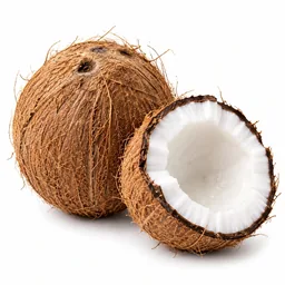 Coconut