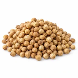 Coriander