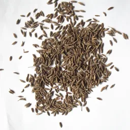 Cumin