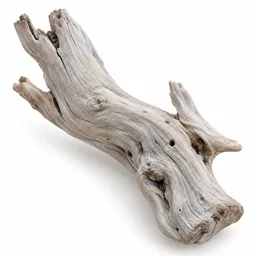 Driftwood