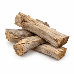 Dry Woods