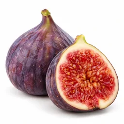 Fig