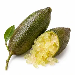 Finger Lime