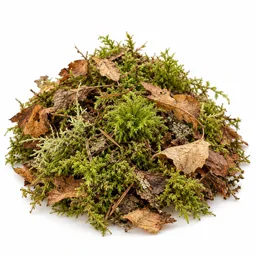 Undergrowth Notes