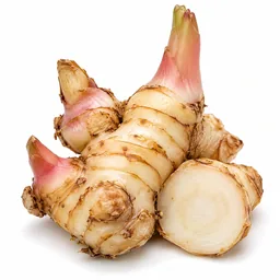 Galangal