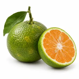 Green Tangerine