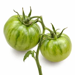 Green Tomato