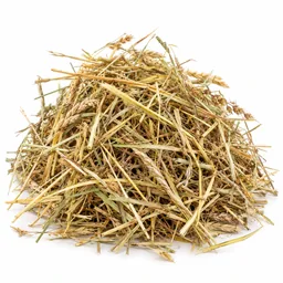 Hay