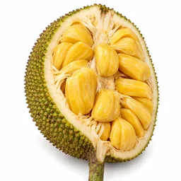 Jackfruit