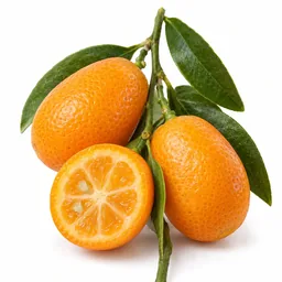 Chinese Kumquats