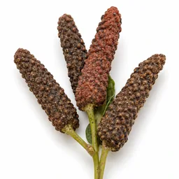 Long Pepper