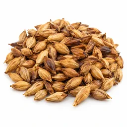 Malt