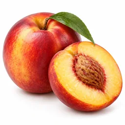 Nectarine