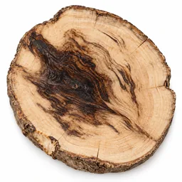 Oud