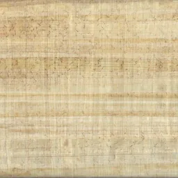 Papyrus